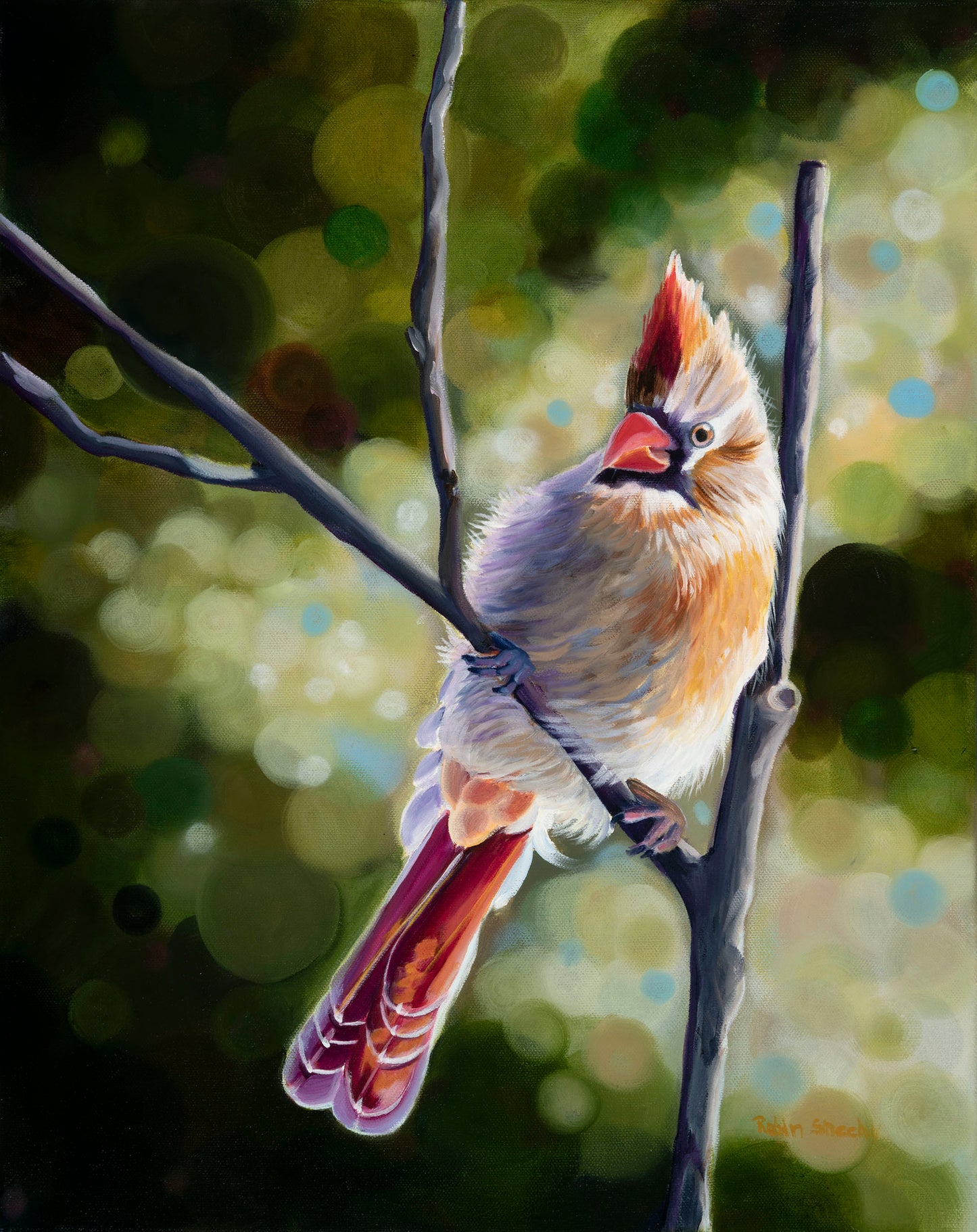 Female Cardinal Print