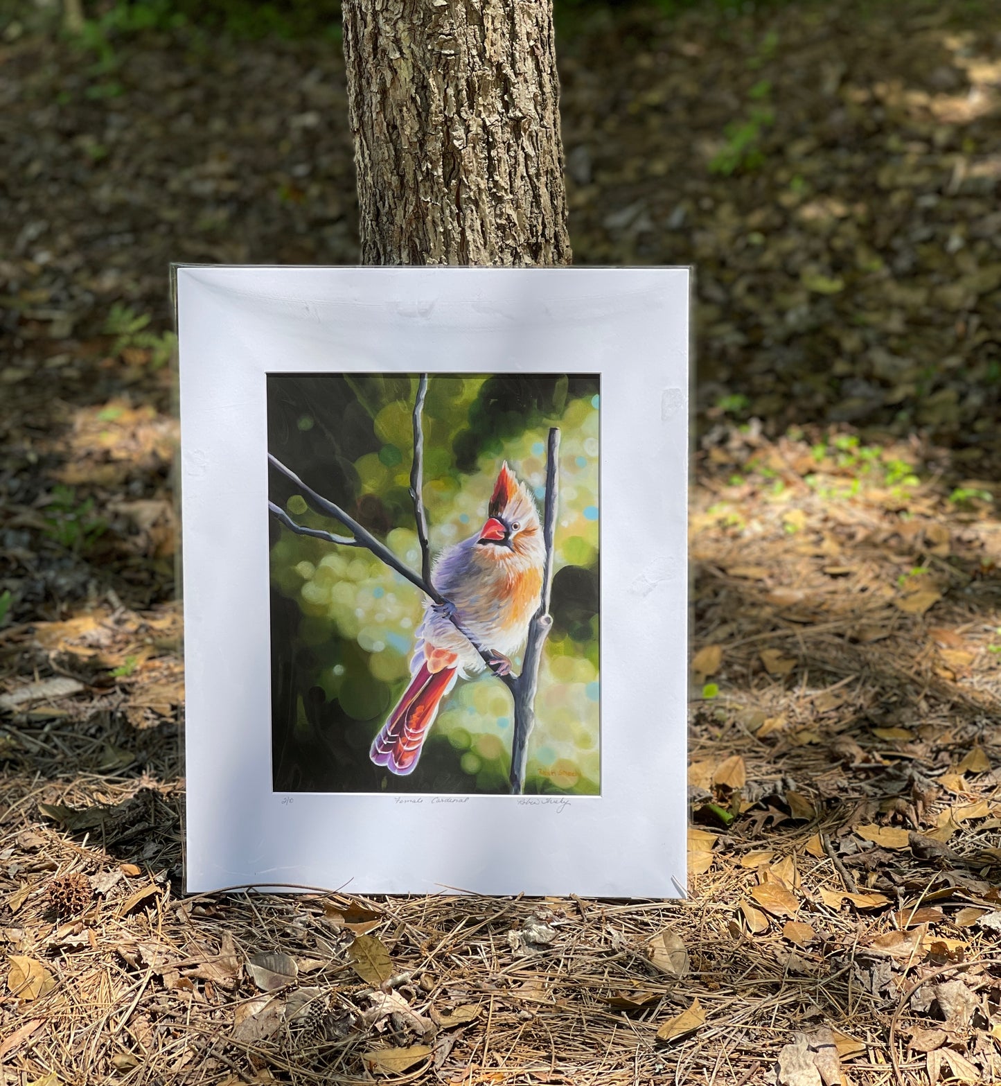 Female Cardinal Print