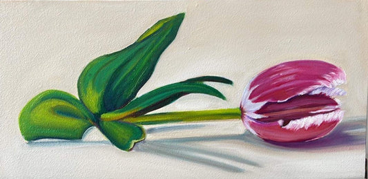 Pink Tulip - Commission