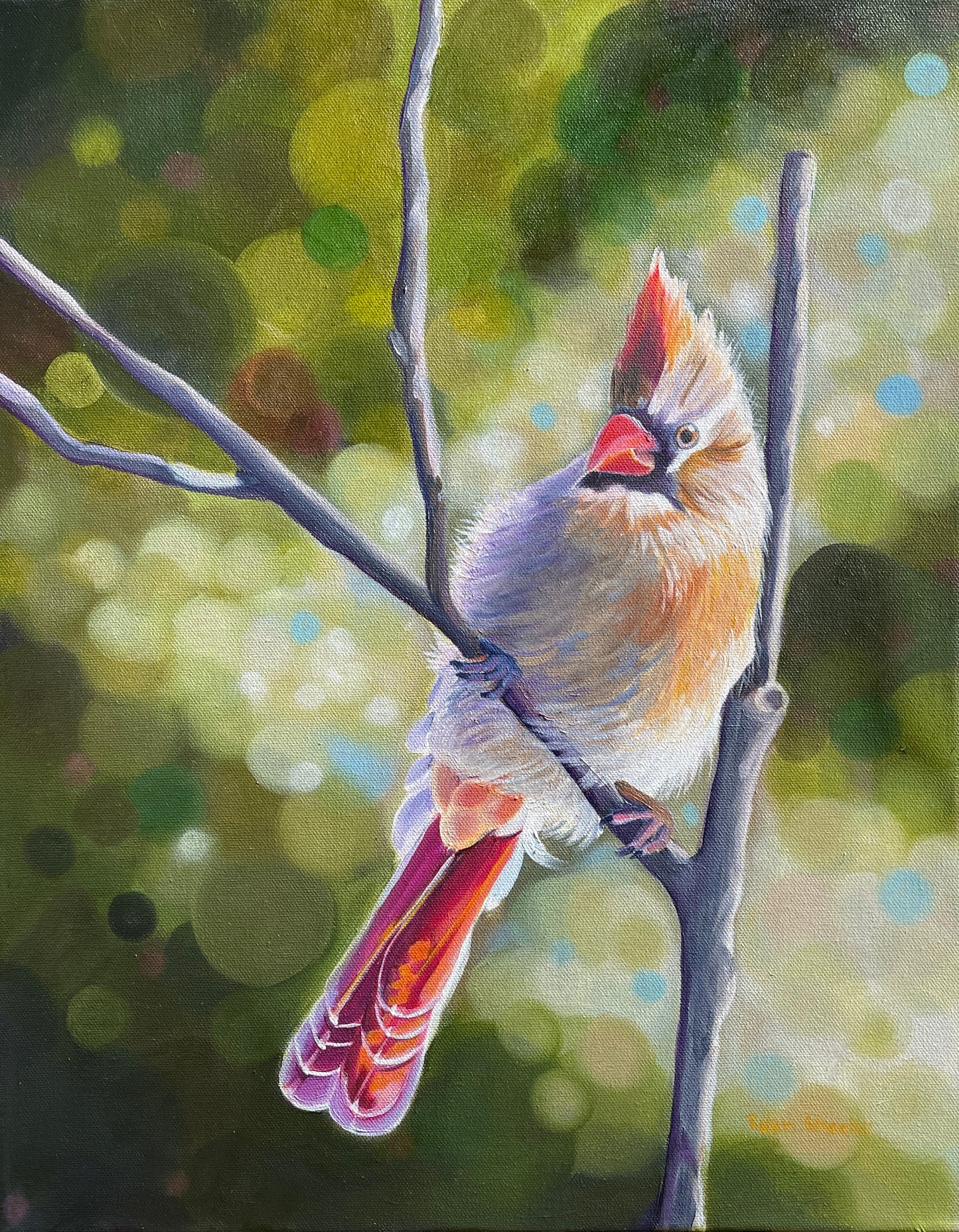 Female Cardinal -Private Collection