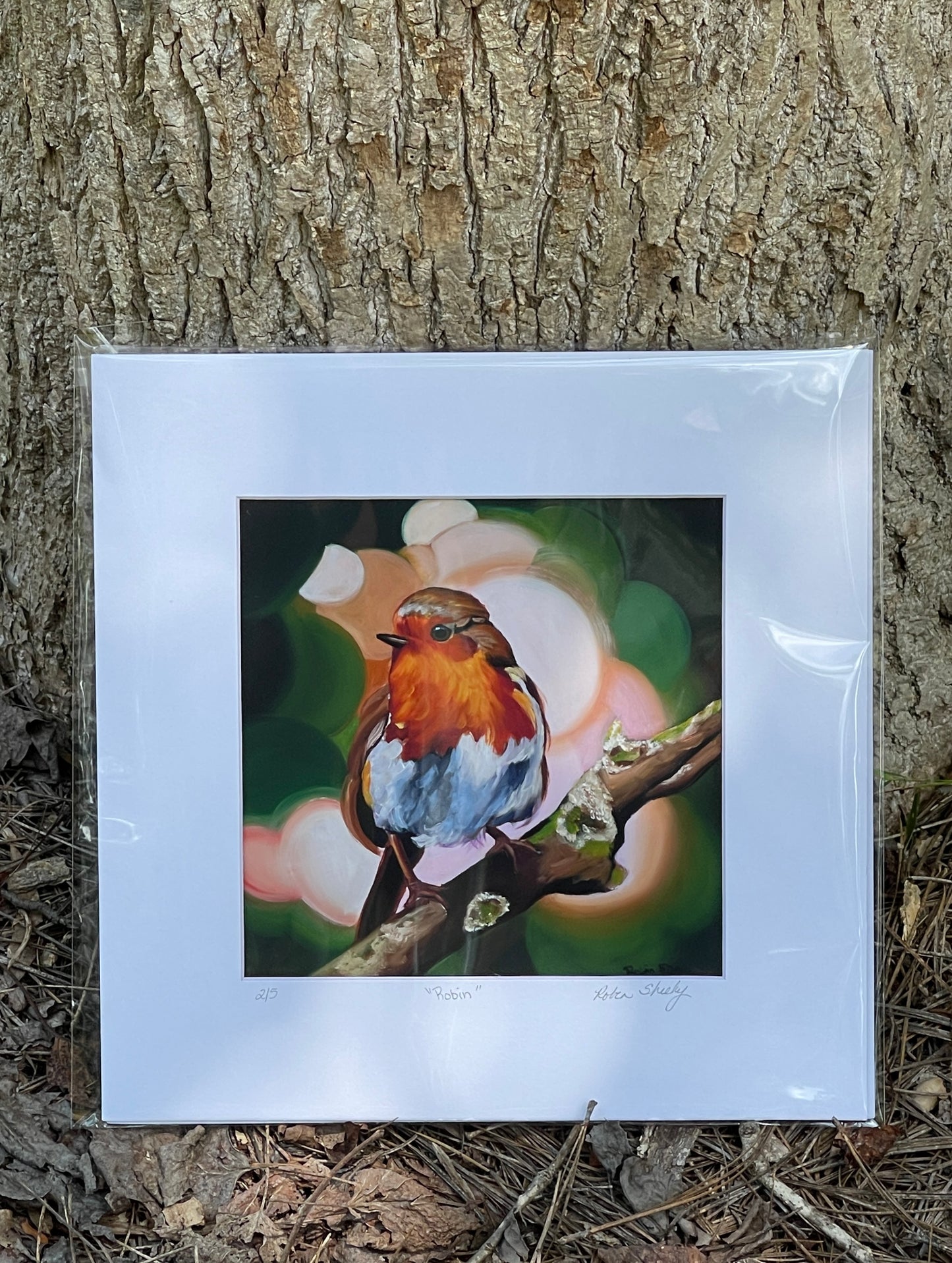 Robin PRINTS