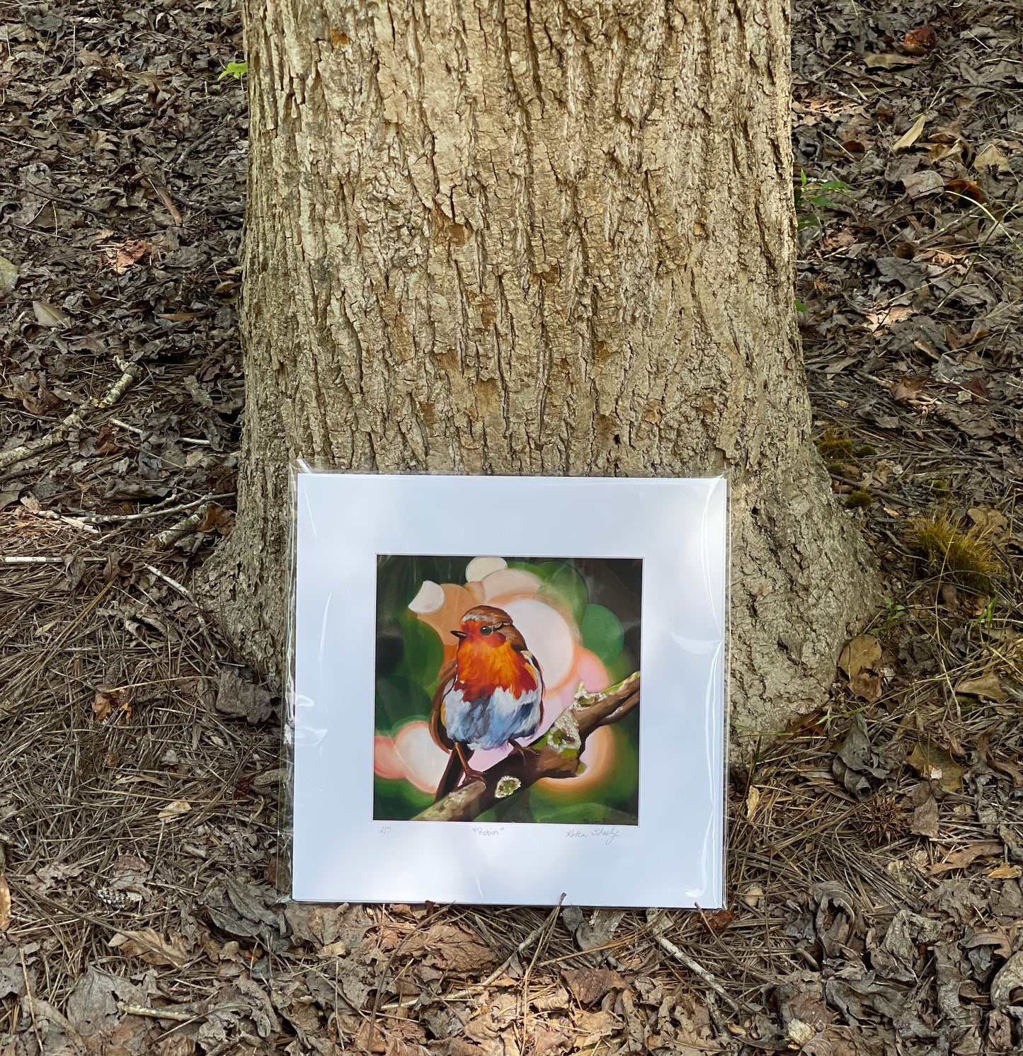 Robin PRINTS