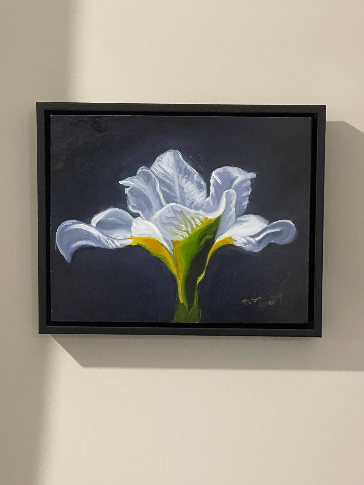 White Iris study 8 x 10