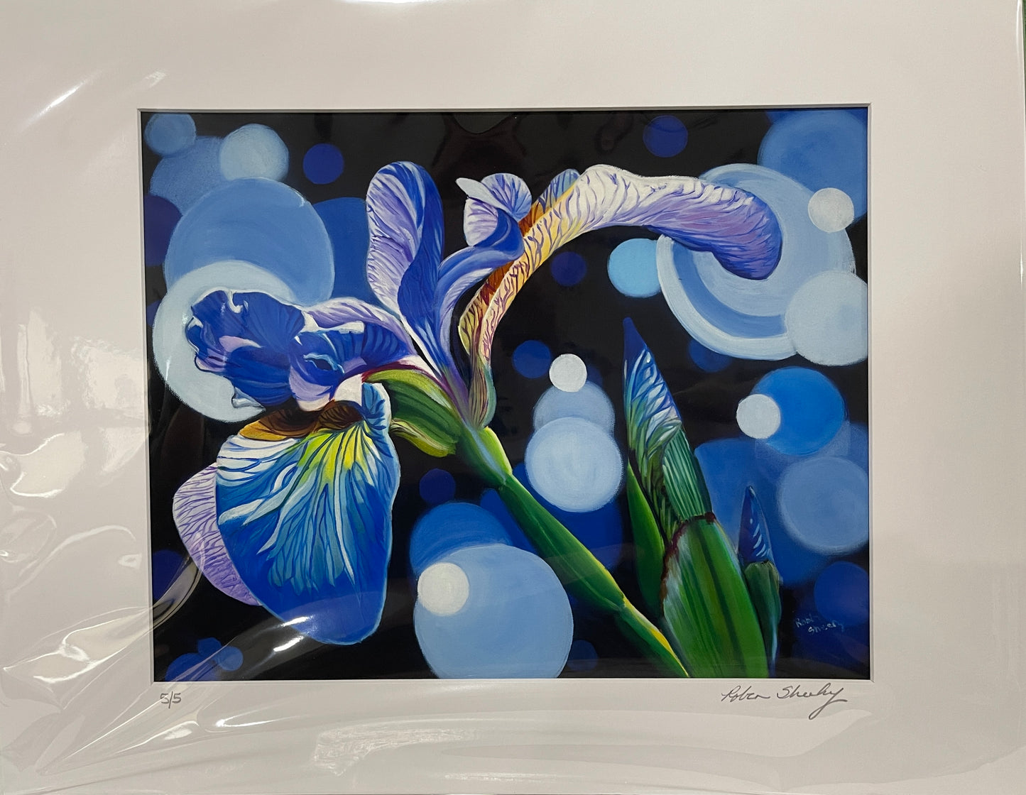 Iris study - Print