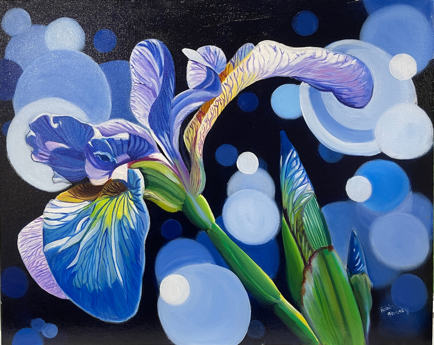 Iris study - Print