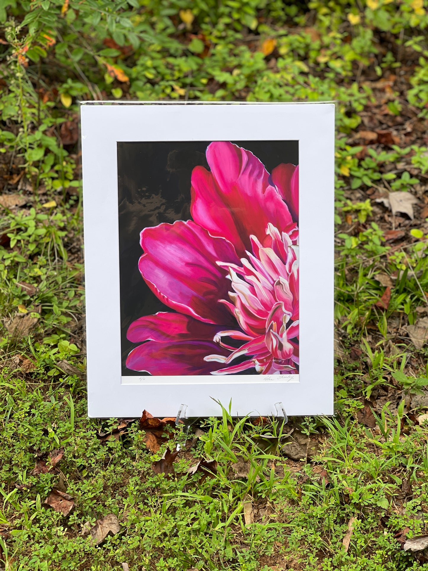 Pink Peony Print study1