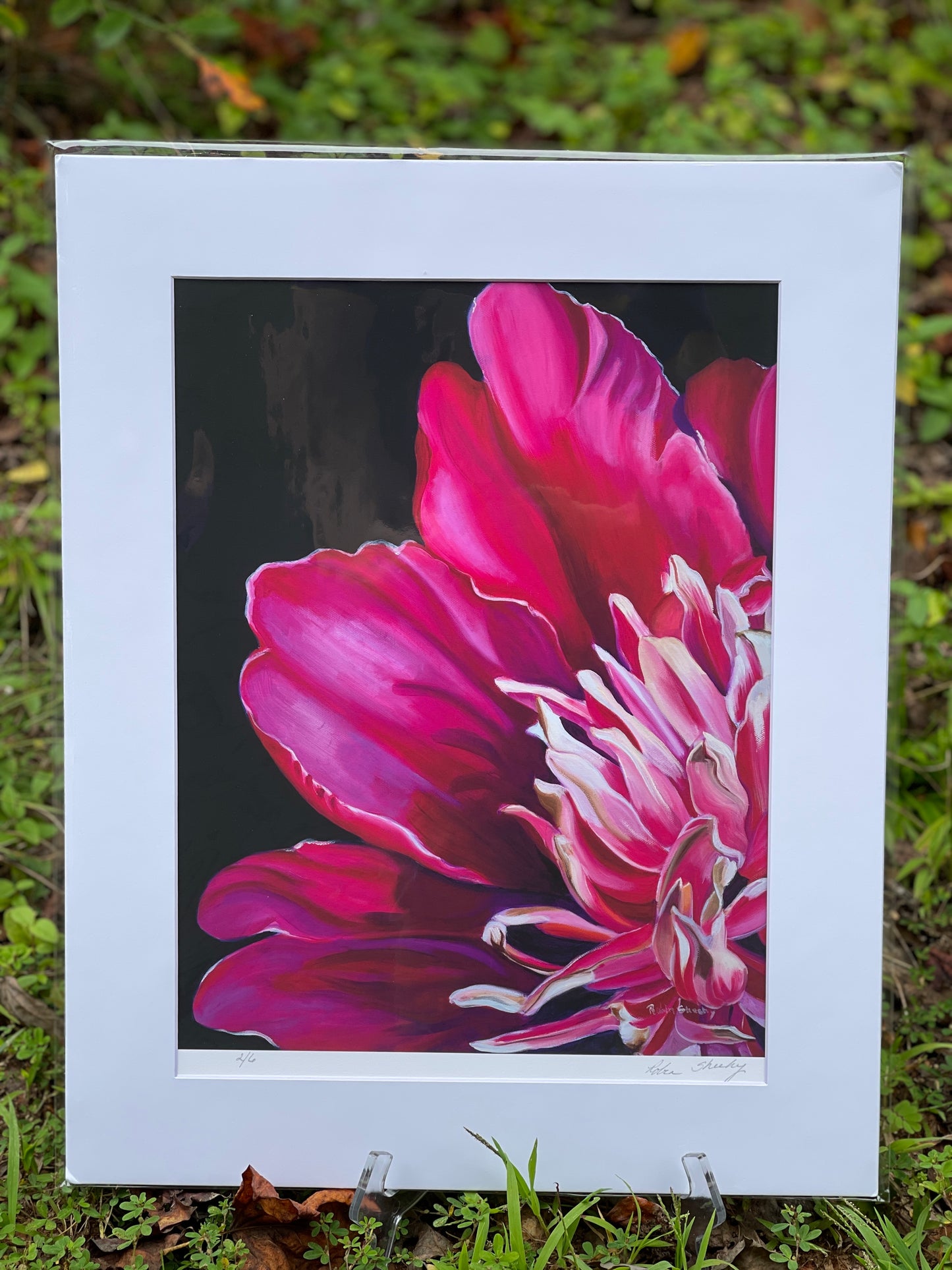 Pink Peony Print study1