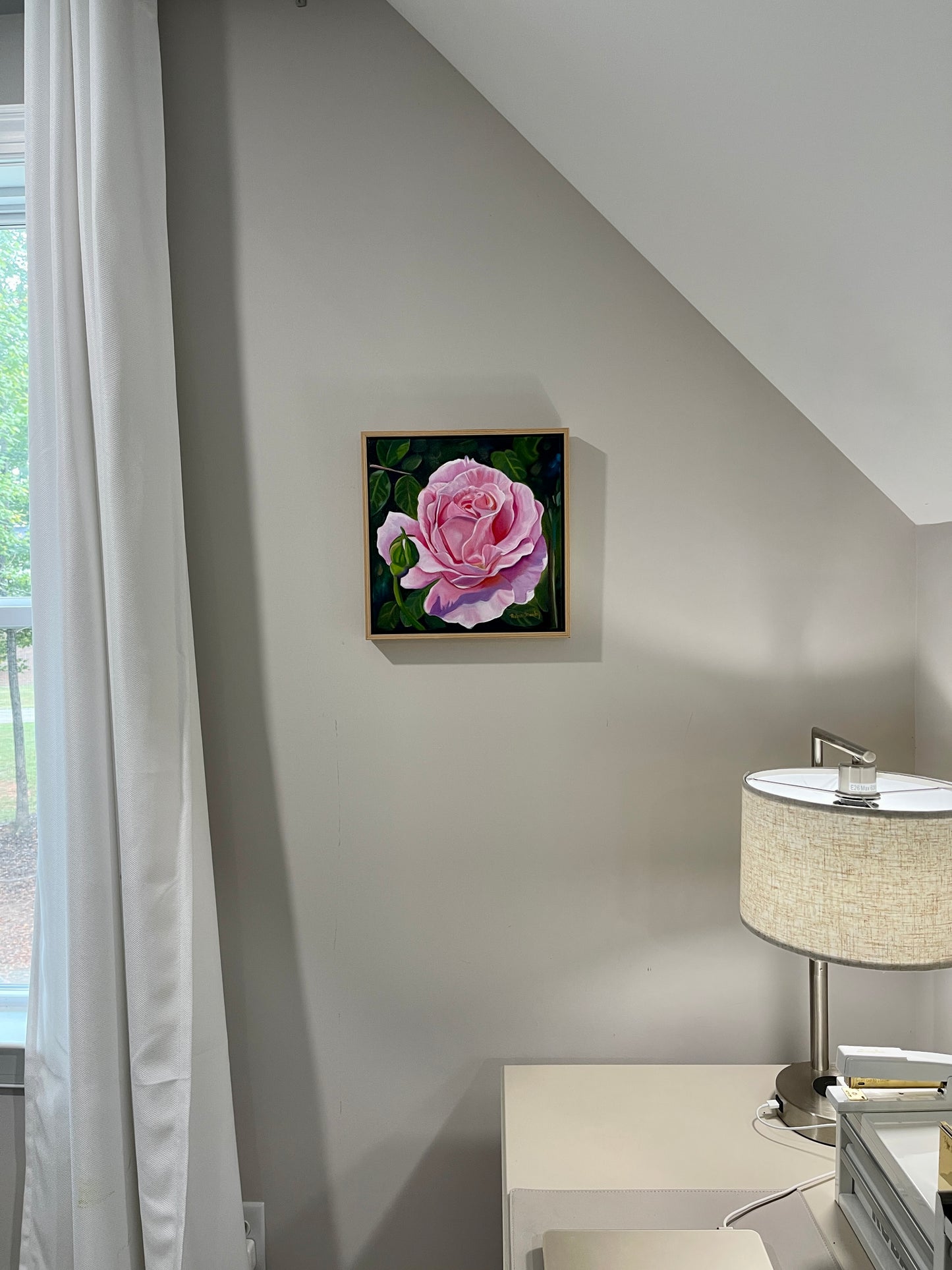 Pink Rose Study
