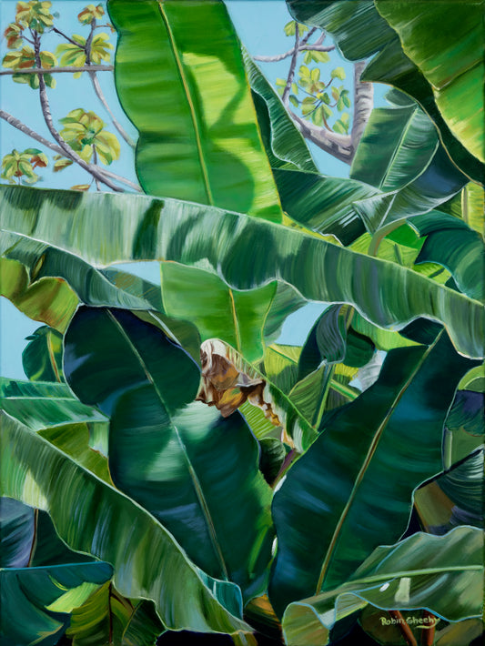Banana Tree Study- Print