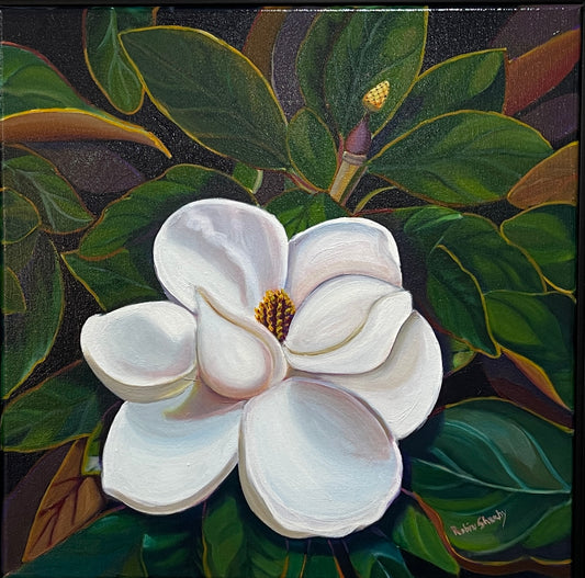 Magnolia Study 2