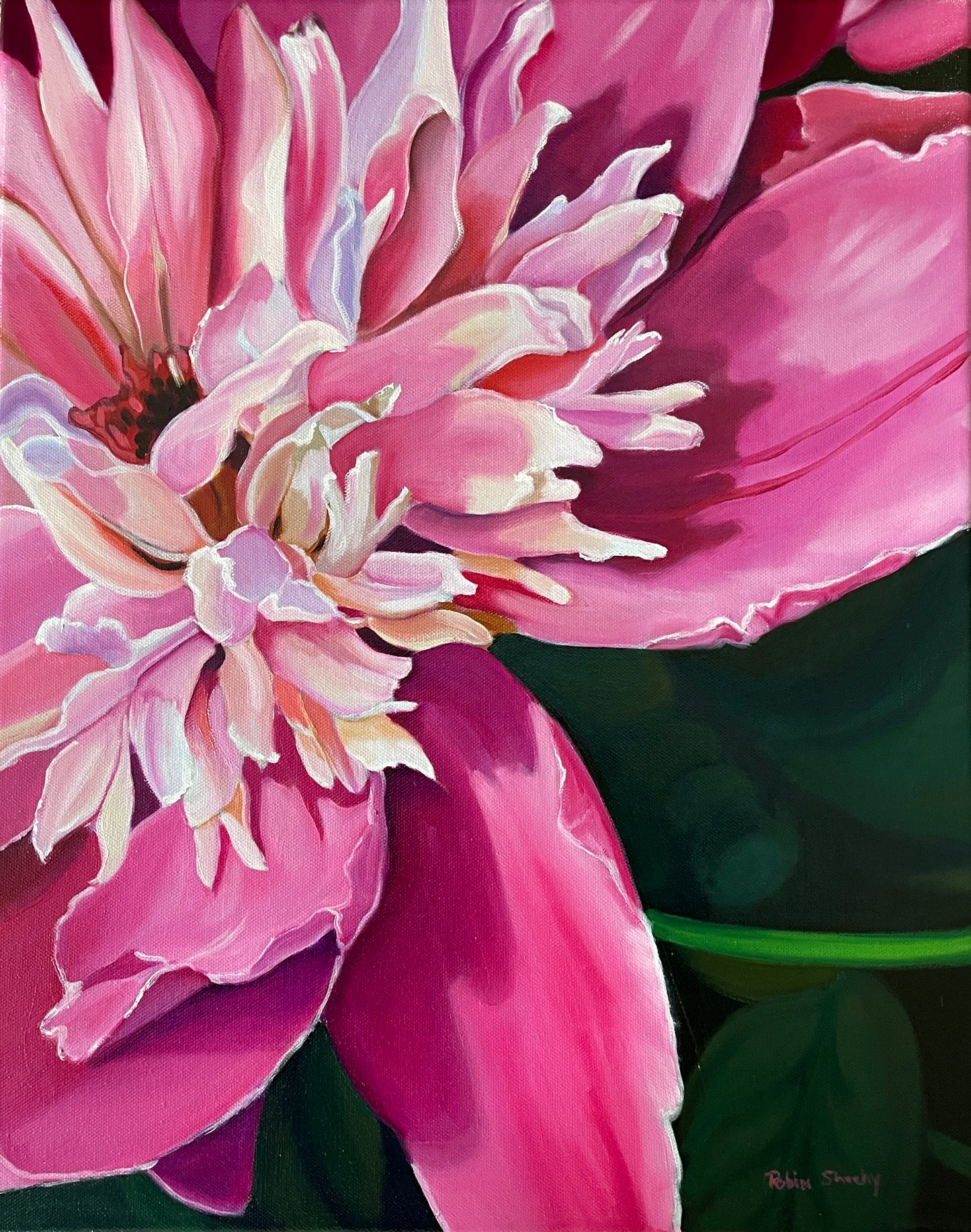 Pink Peony Study 2