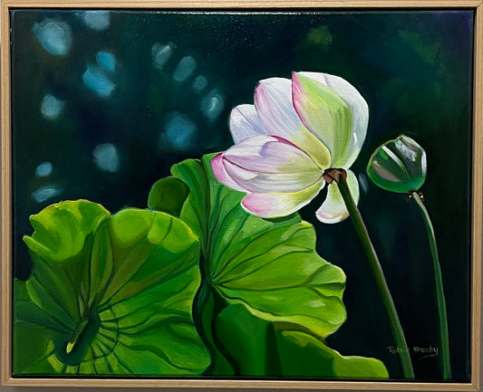 Lotus Study