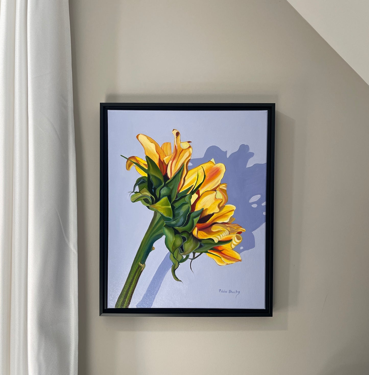 Sunflower study #4 16" x 20" oil on canvas