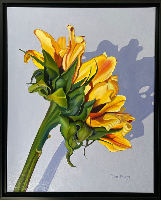 Sunflower study #4 16" x 20" oil on canvas