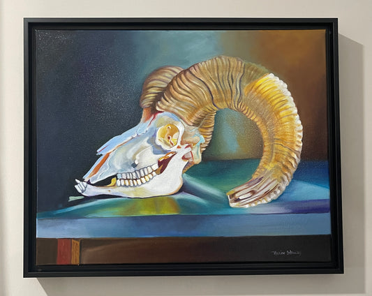Ram Skull Study framed 16" x 20" oil on canvas
