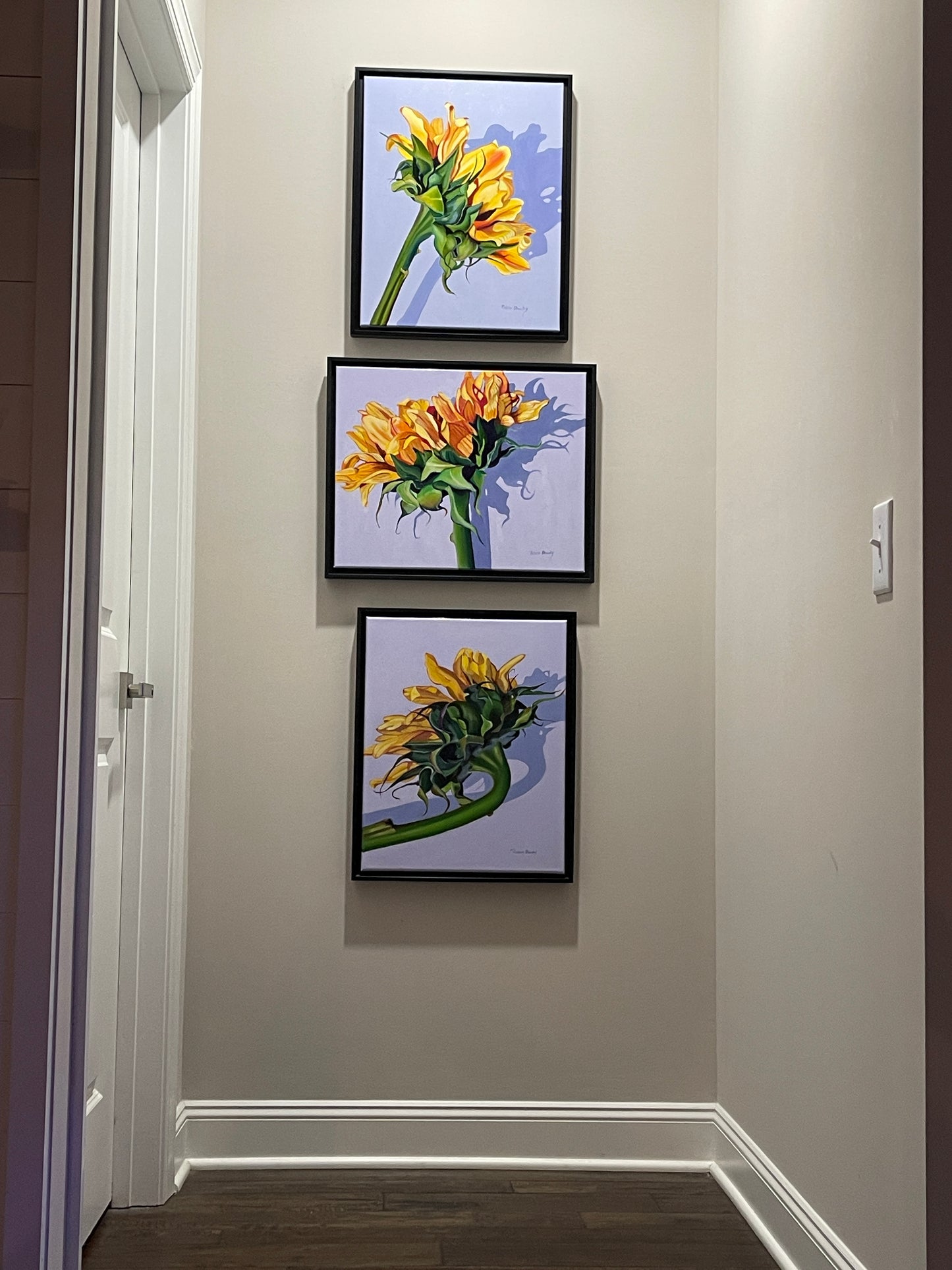 Sunflower study #3 16" x 20" oil on canvas