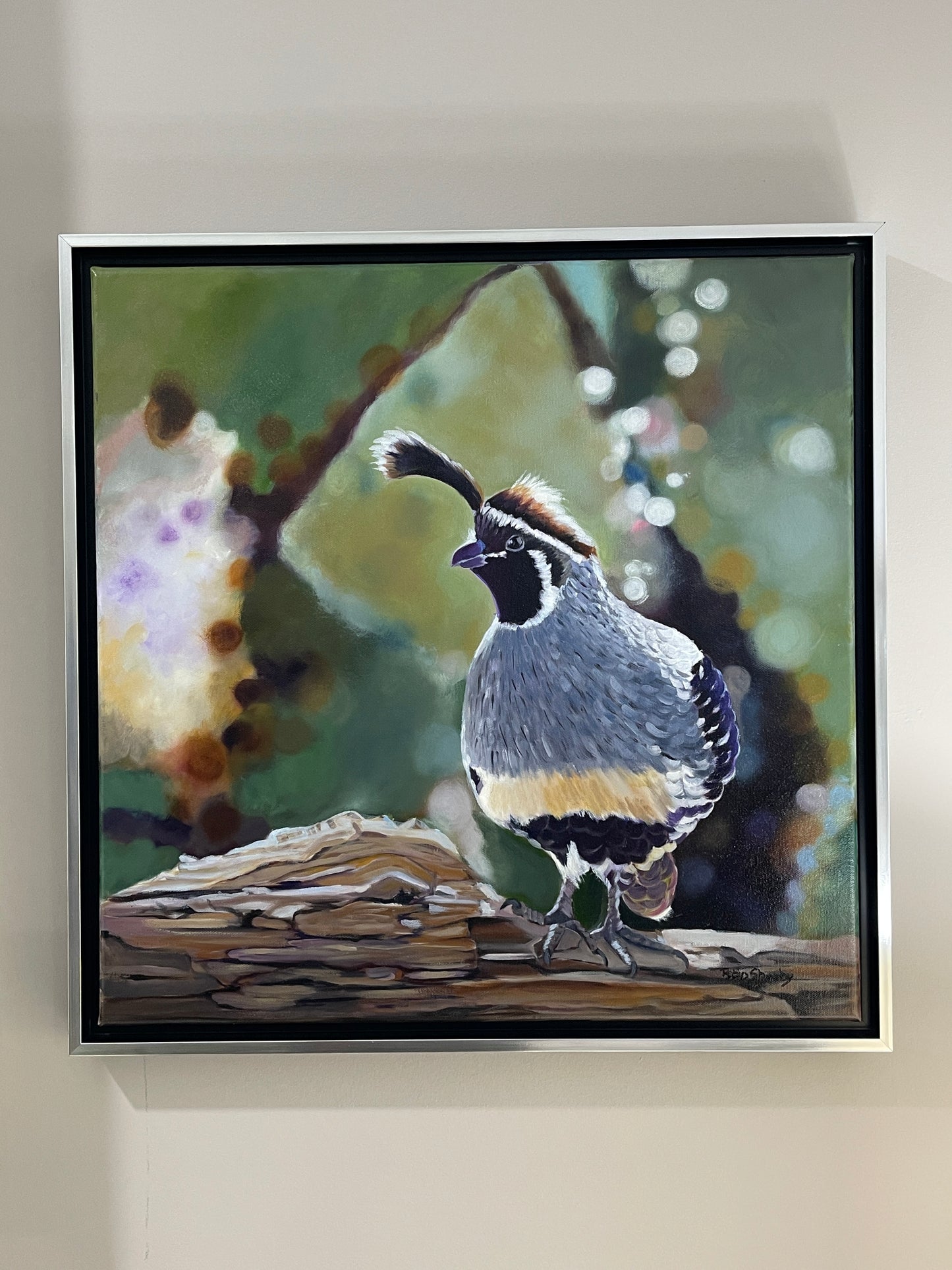 Quail study #2