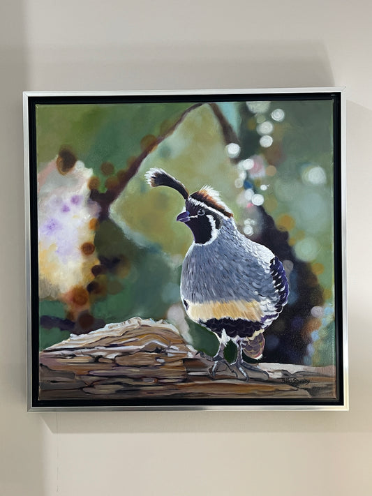 Quail study #2