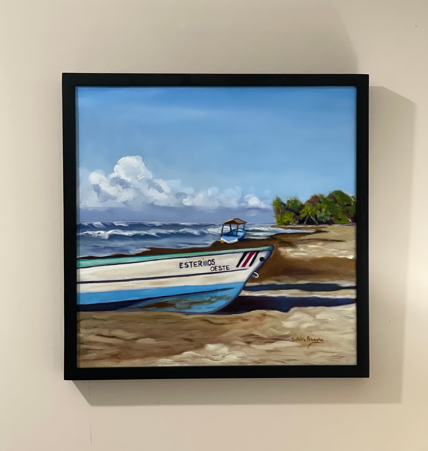 Pura Vida  Esterillos Oeste