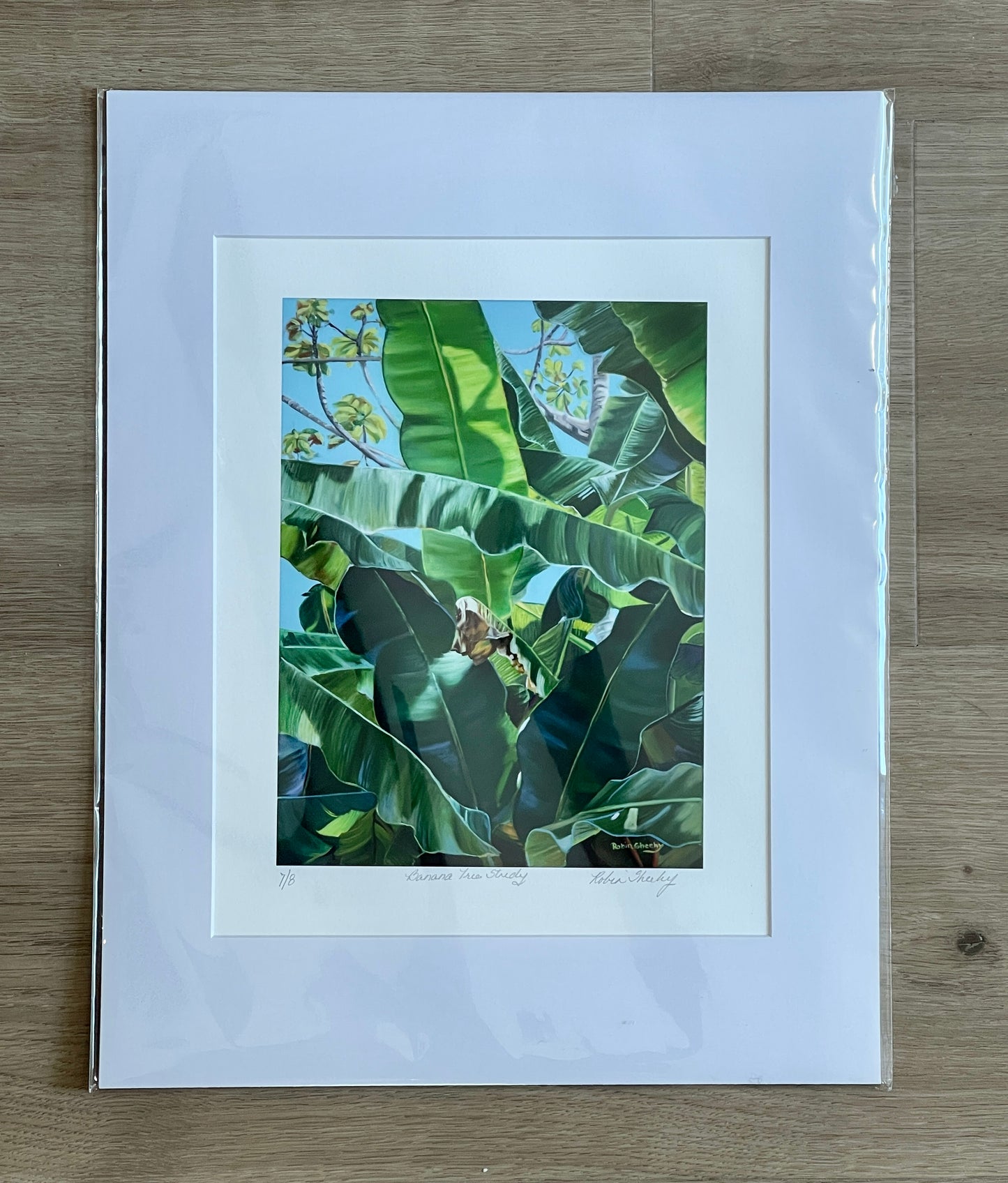 Banana Tree Study- Print