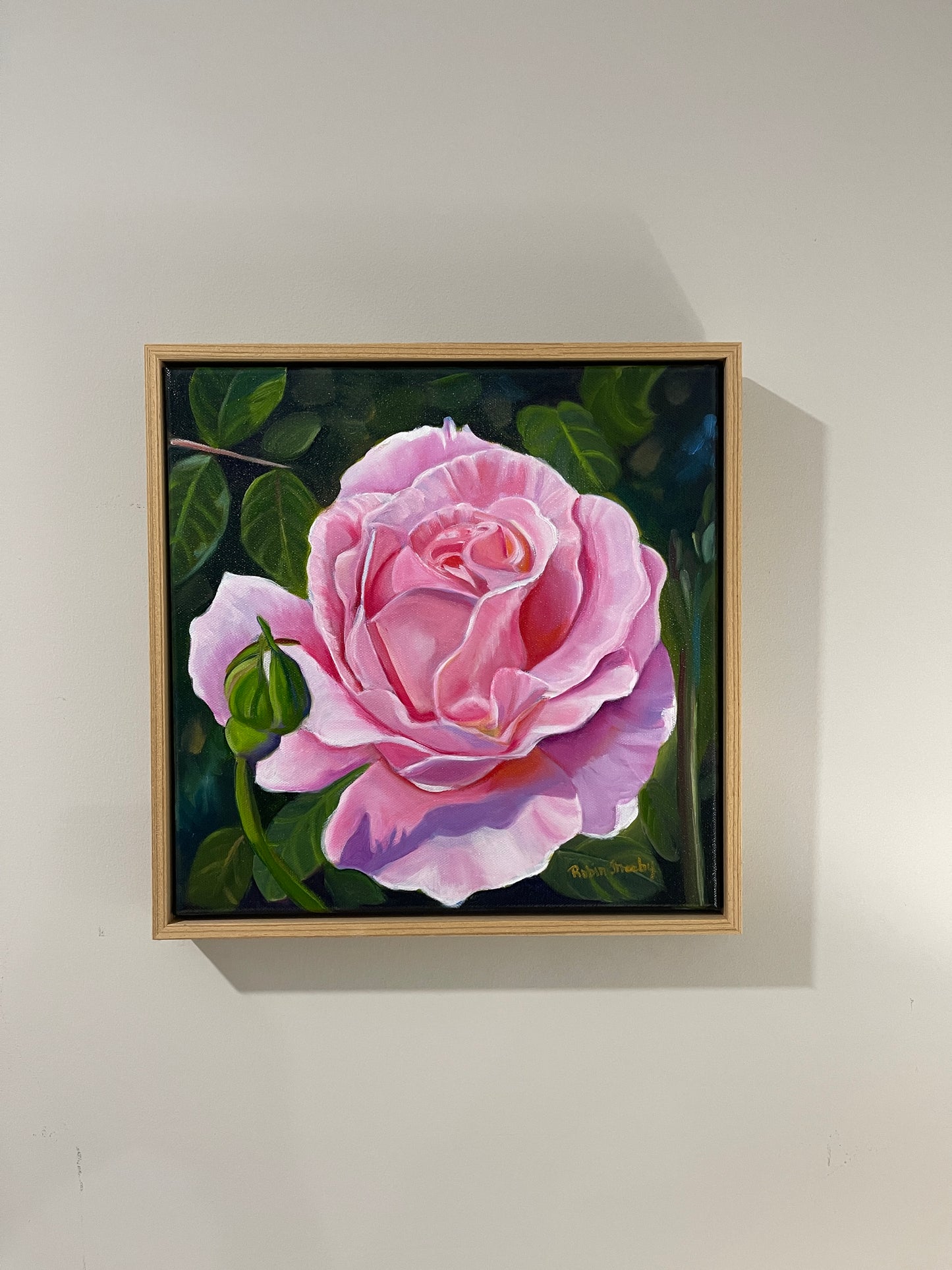 Pink Rose Study