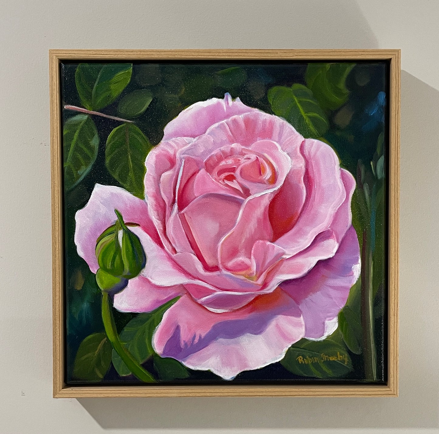 Pink Rose Study