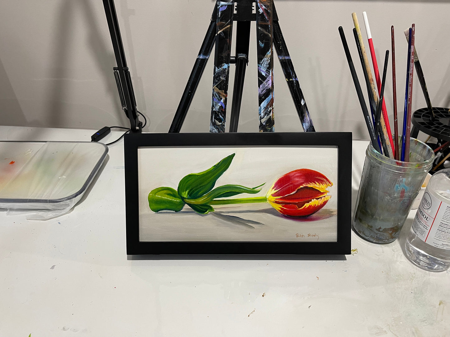 Tulip #12