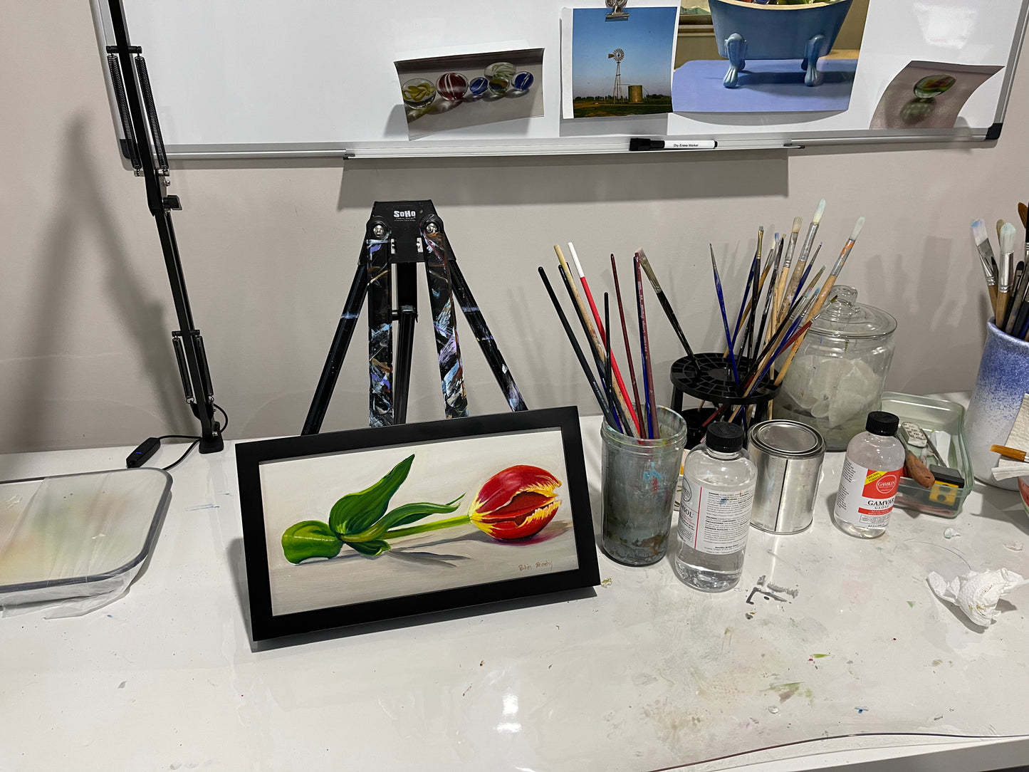 Tulip #12