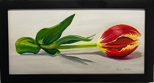 Tulip #12